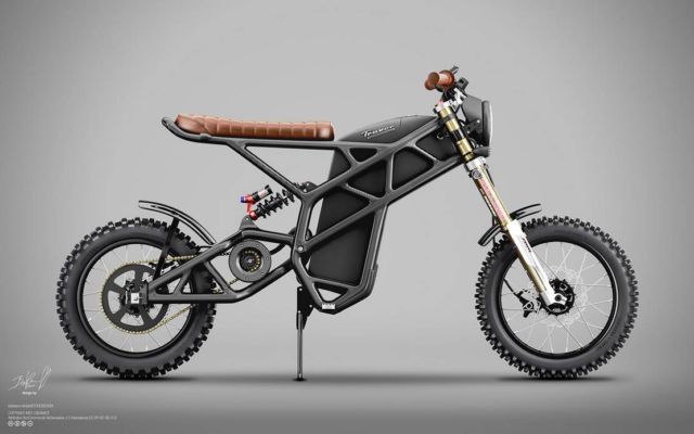 Truvor electric custom Scrambler