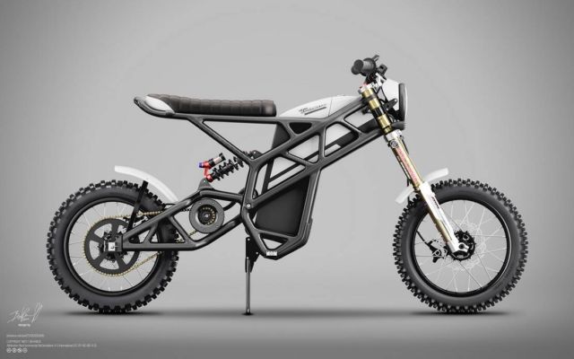 Truvor electric custom Scrambler (2)