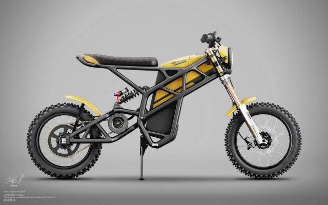 Truvor electric custom Scrambler (1)