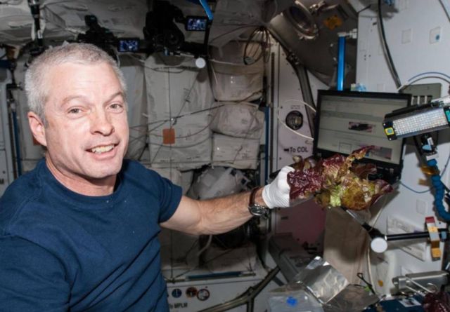 Space Station grown Lettuce