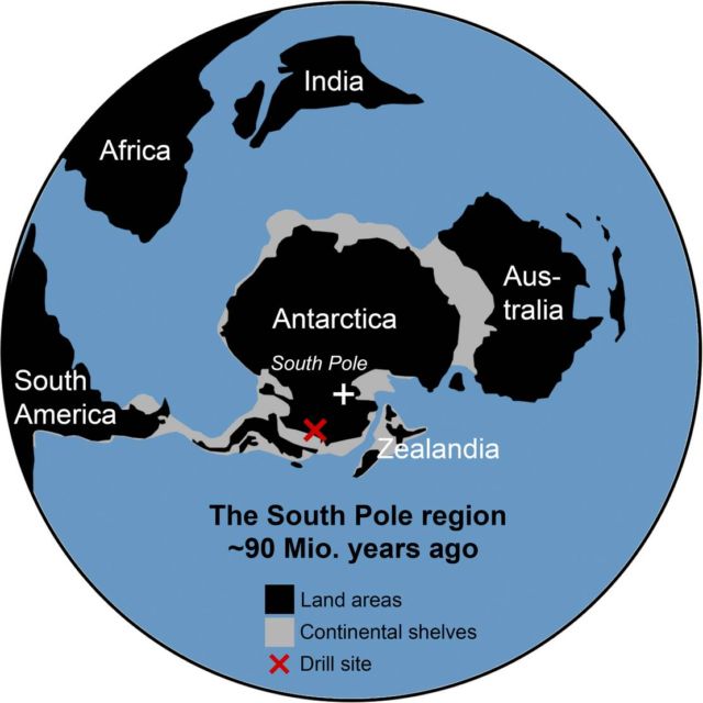 Evidence for an Ancient Rainforest in Antarctica (4)