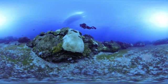 Take a virtual dive into the Ocean (3)