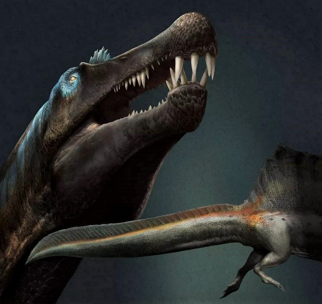 The first known Swimming Dinosaur was gigantic