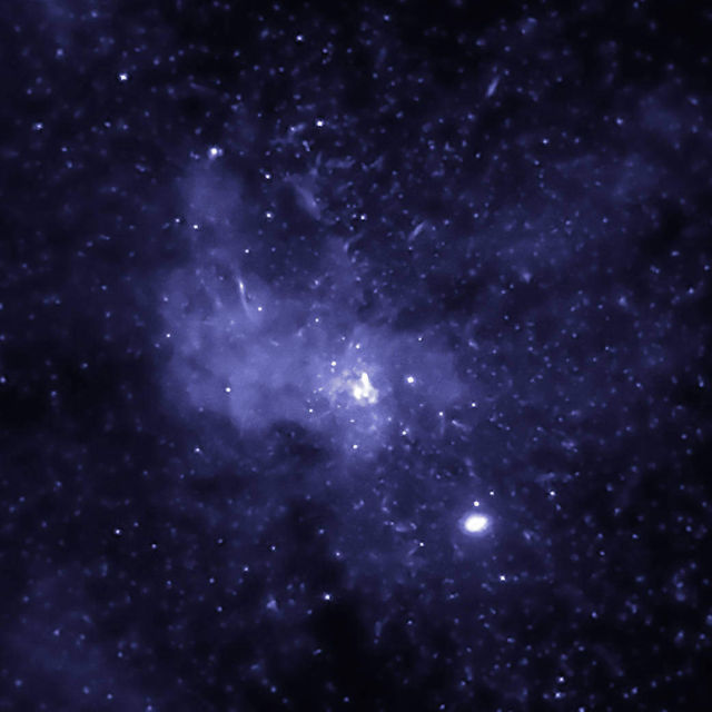 Black Hole Bounty in the Center of the Milky Way 