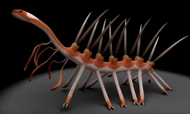 The Cambrian Period- Life's Prototype Stage