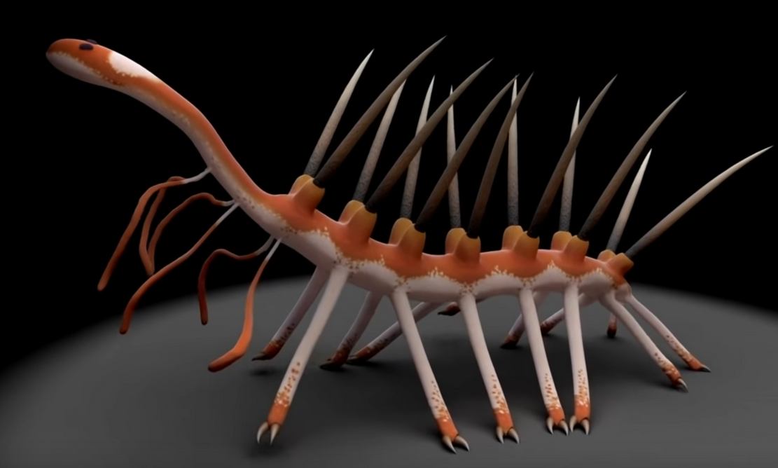 The Cambrian Period- Life's Prototype Stage (4)
