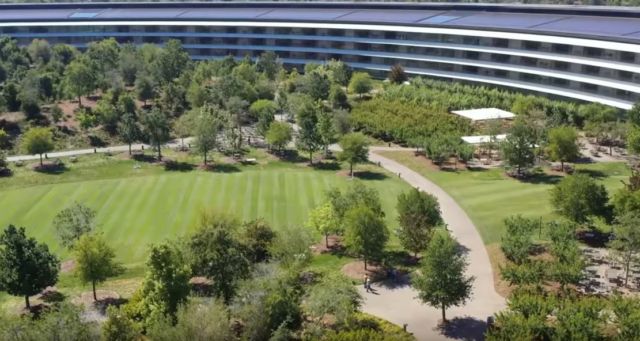 Inside the $5 Billion Apple Park (4)