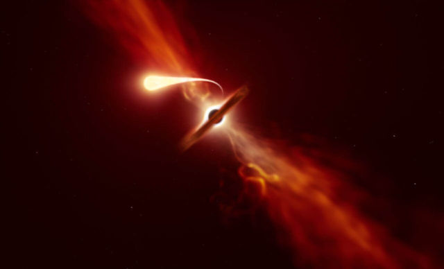 Last Moments of Star Devoured by a Black Hole