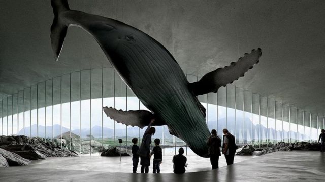 The Whale new attraction center (6)