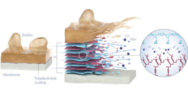 Peel-off coating makes Desalination tech more efficient