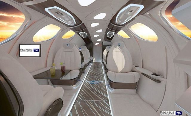 Pegasus Vertical Business Jet (9)