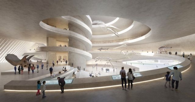 The New Shenzhen Natural History Museum (2)