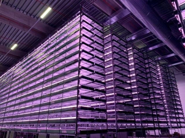 Construction of Europe’s Largest Vertical Farm started