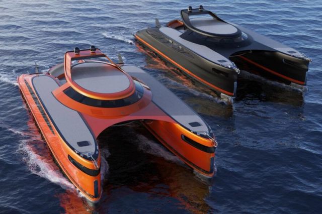 Lazzarini Pagurus amphibious catamaran (1)