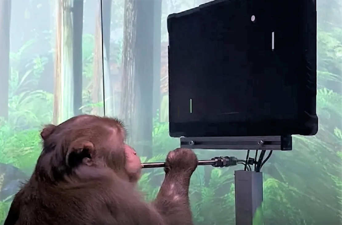 Monkey playing MindPong