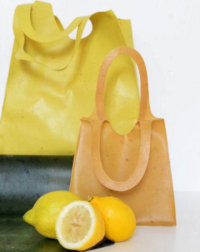 Sonnet 155 Handbag made from Discarded Fruit peels (2)