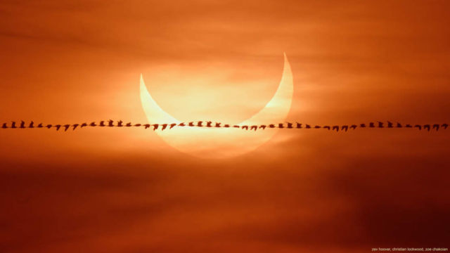 Eclipse Flyby 1