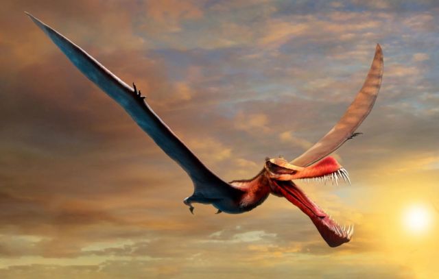 Giant 7-meter-wide Pterosaur 