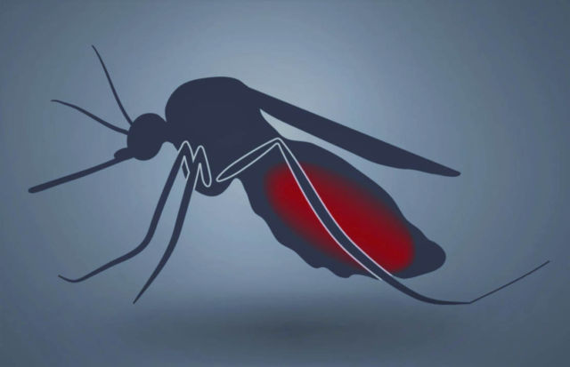 The world's first Malaria Vaccine approved 