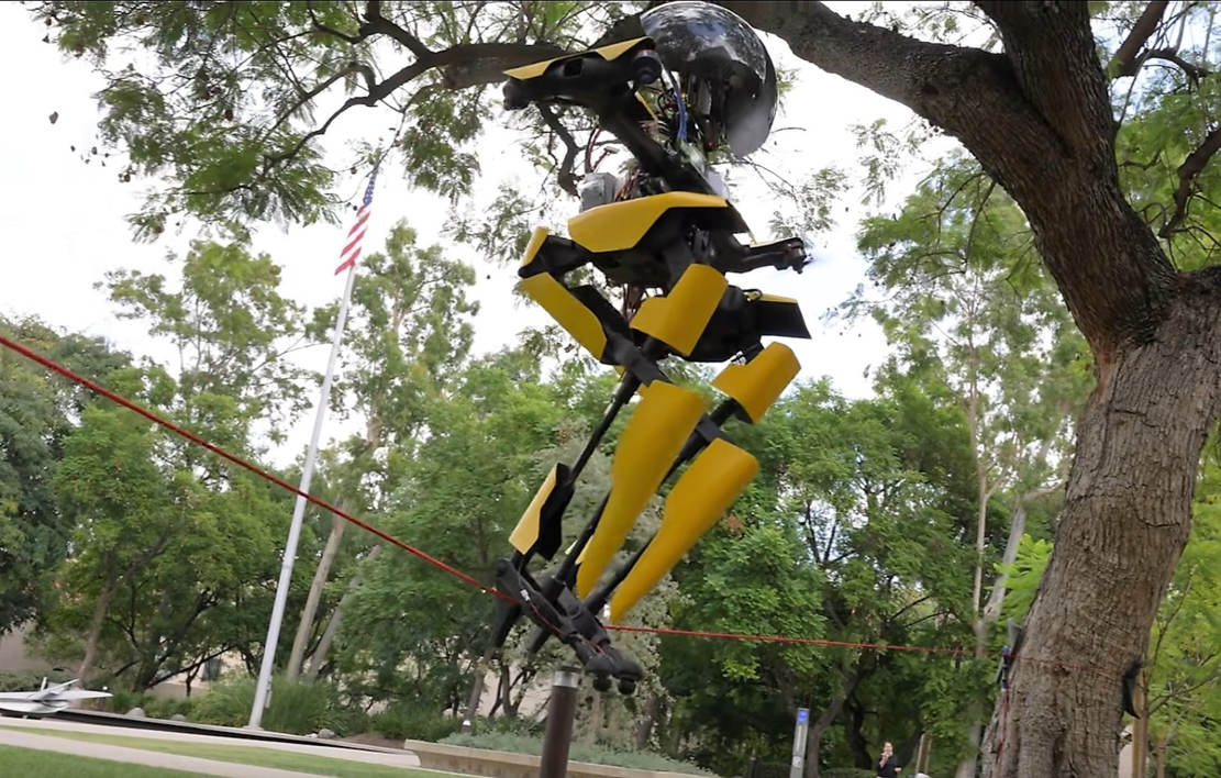 This Robot Walks, Flies, Skateboards