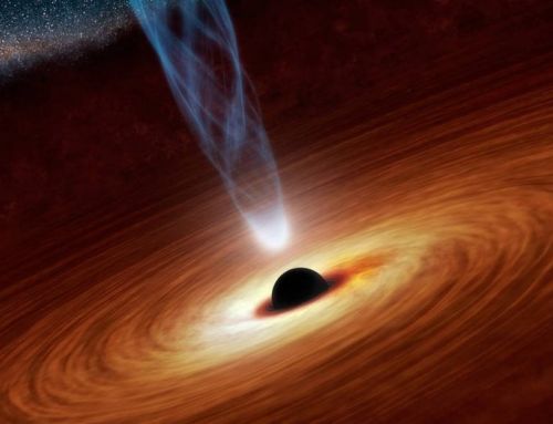 How many Black Holes are there in the Universe?