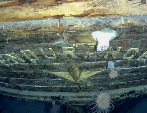 Endurance Historic Shipwreck was found