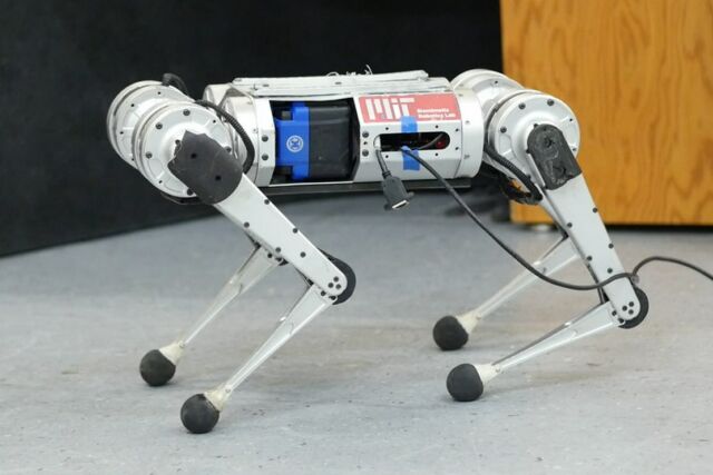 Mini Cheetah Robot learn how to run