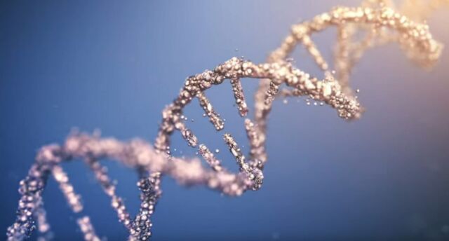 The Human Genome is Finally Complete