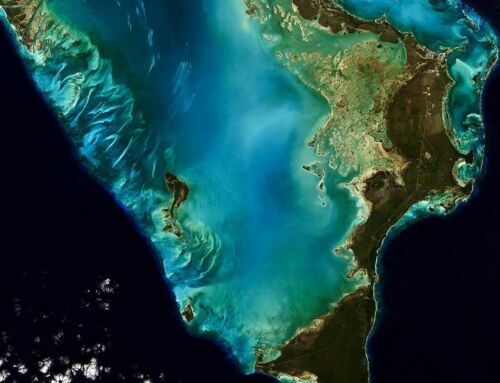 50 Years of Landsat