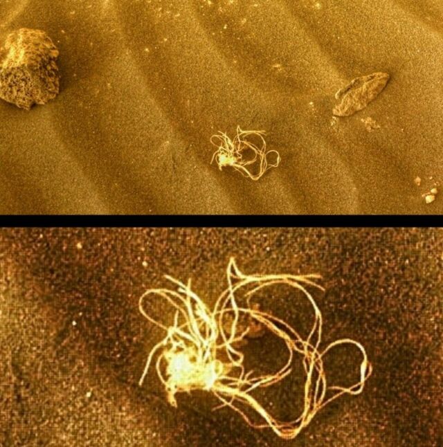 Strange Tangle on Mars 