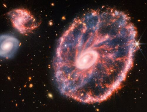 Webb Space Telescope captures stunning image of the Cartwheel Galaxy