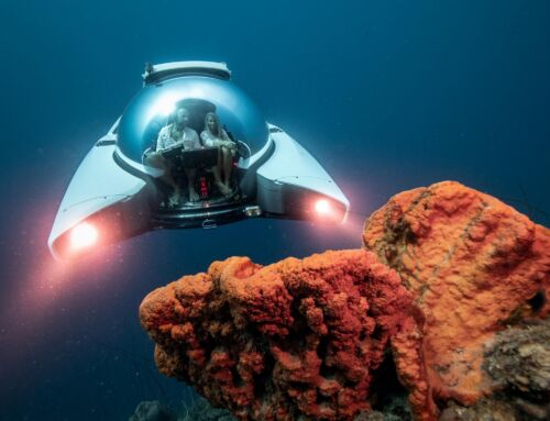 Nemo Personal Submarine gets a price cut