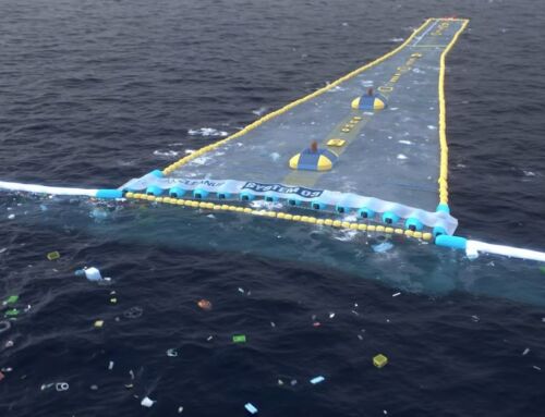 The End of the Great Pacific Garbage Patch
