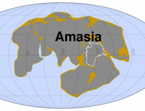 Amasia- World’s Next Supercontinent