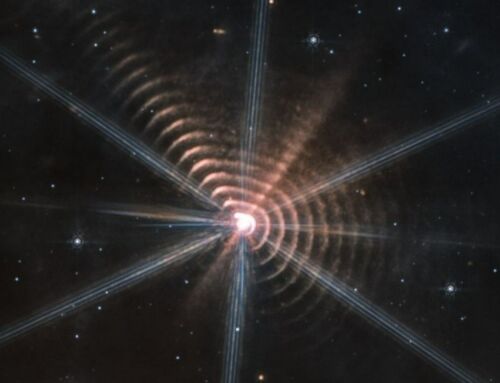 Unique Dust Shells around two Stars from Webb