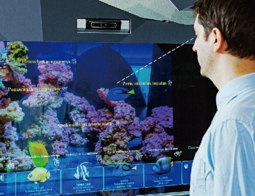 AI Aquarium can instantly recognize Aquatic Species