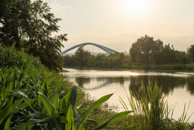 Jiangxi River Bridge (9)