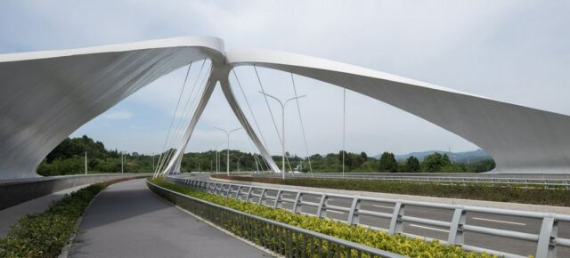 Jiangxi River Bridge (7)