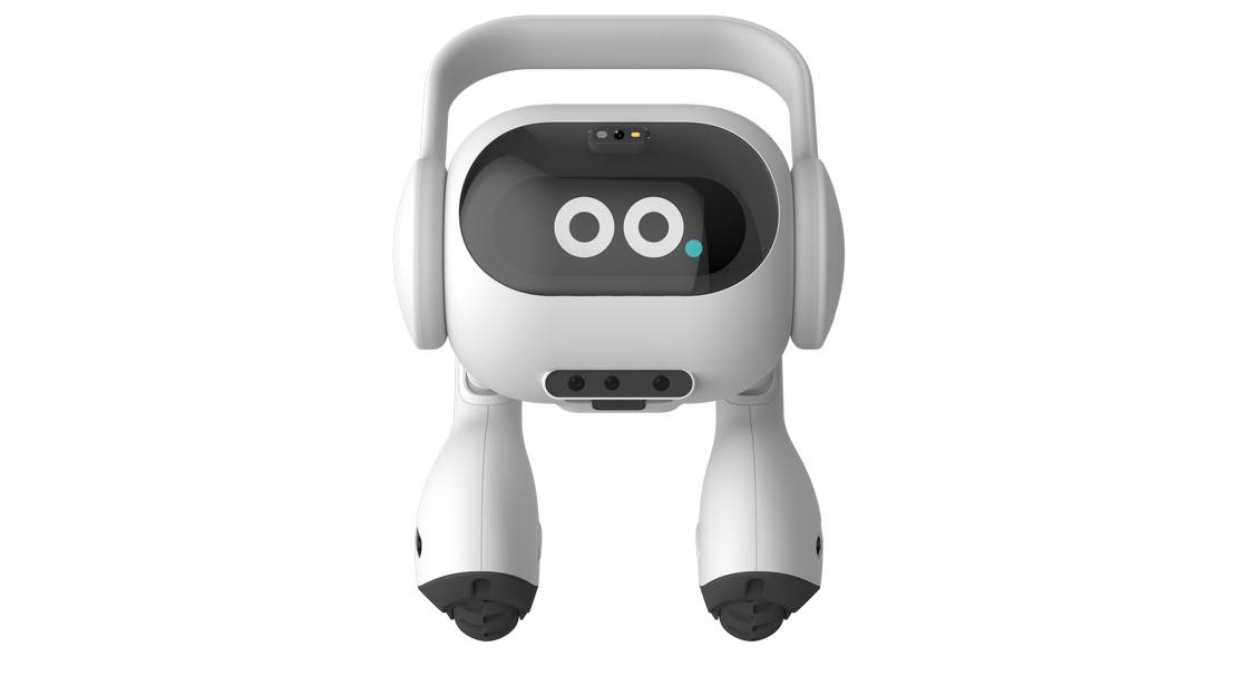 LG two-legged House Robot