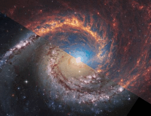Spiral Galaxy NGC 1566 from Webb and Hubble