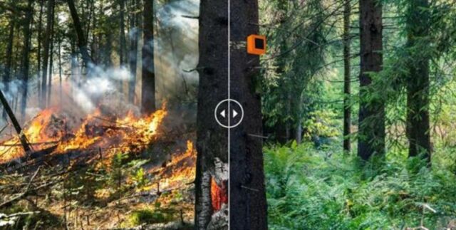 ForestGuard Fire Detection system