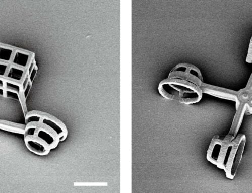 Tiny Micromachines steered by Microorganisms