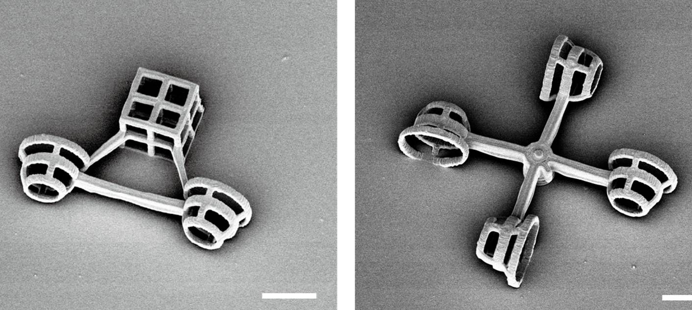 Tiny Micromachines steered by Microorganisms