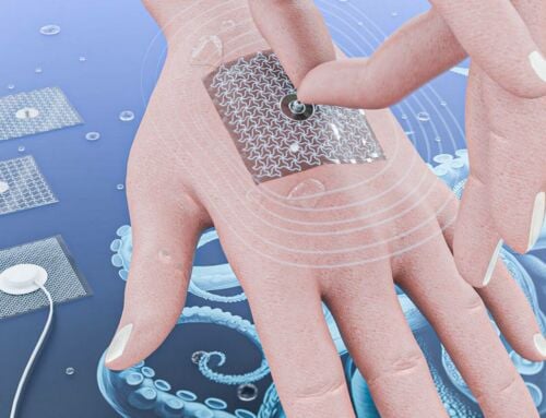 Octopus-inspired sticky medical patch