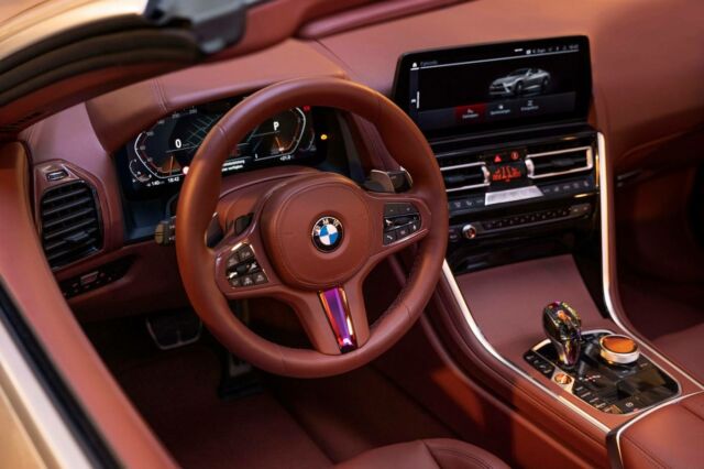 BMW Skytop Convertible Concept (1)