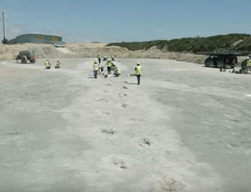 166 Million Years Old Dinosaur Footprints found in the UK