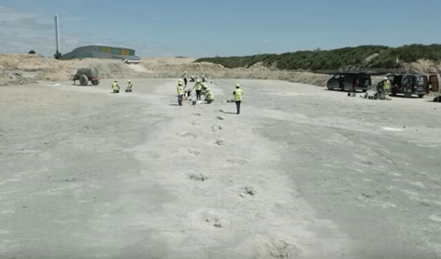 166 Million Years Old Dinosaur Footprints