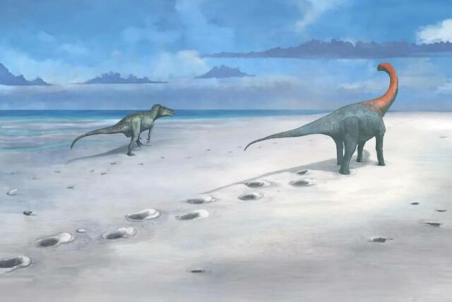 166 Million Years Old Dinosaur Footprints (4)