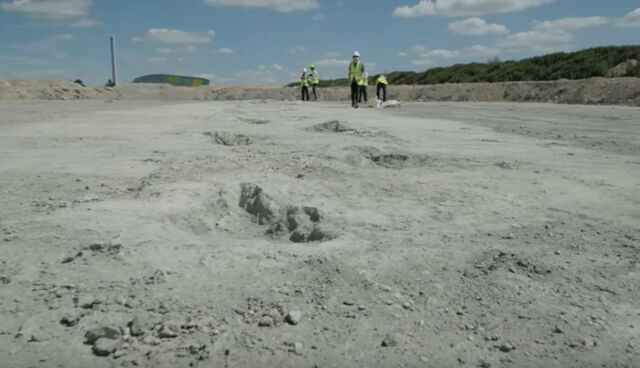 166 Million Years Old Dinosaur Footprints (1)