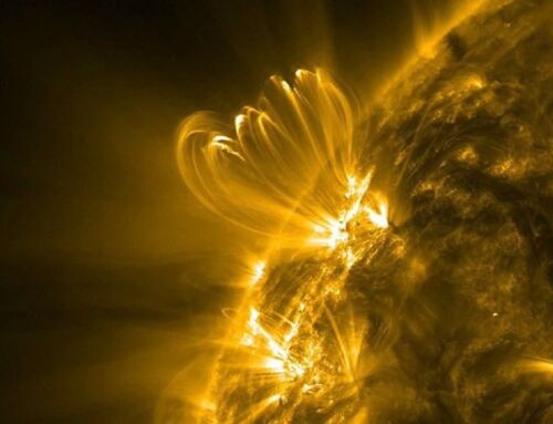 Coronal Loops Flicker Before Big Solar Flares